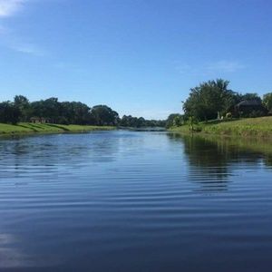 Meet your Posher, Lilia